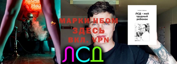 тгк Алзамай
