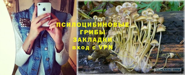 скорость Алексин