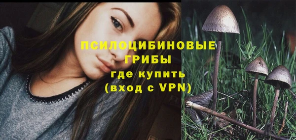 тгк Алзамай